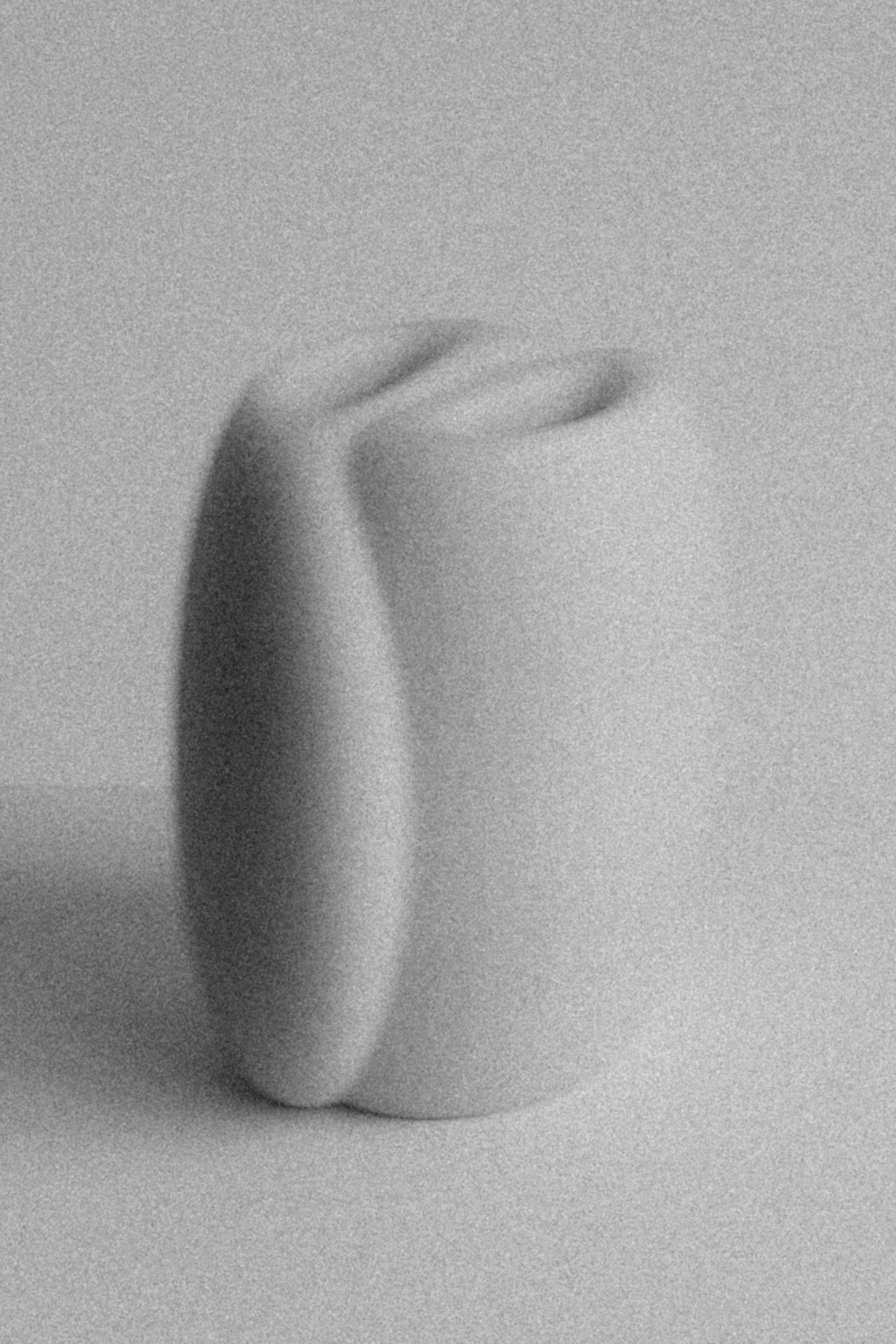 Totem huître (édition limitée)